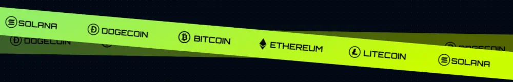 FreeSpin Casino Payments